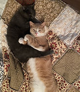 IMG_6842.jpeg
