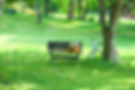 CK_tip004t120719.jpg