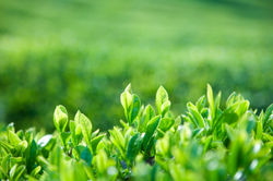 물두멍영성 이야기3