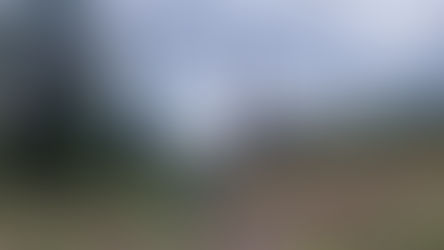 Miserable day on trail in Montana