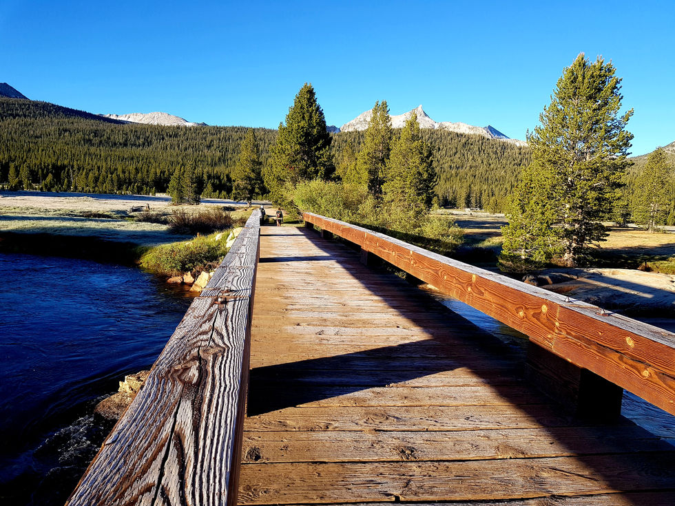 Day 75: Tuolomne Meadows - Yosemite Park