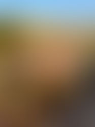 Day 6: Desert Tent Site - Julian