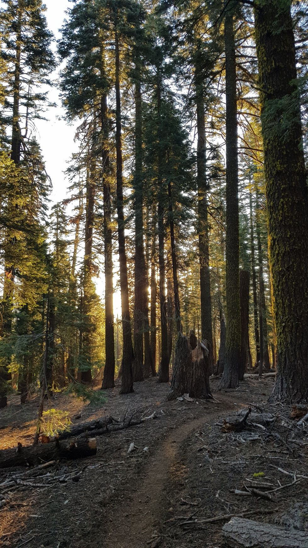 Day 101: Lassen NP Boundary Spring - Old Station