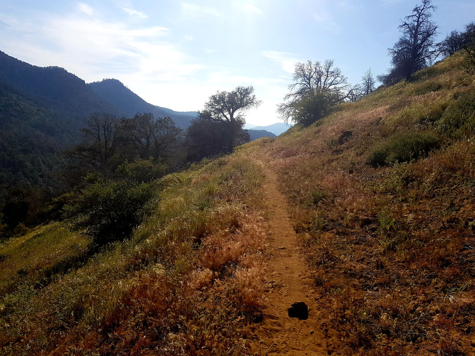 Day 41: Joshua Tree ⛺ - ⛺ @ mile 587.2