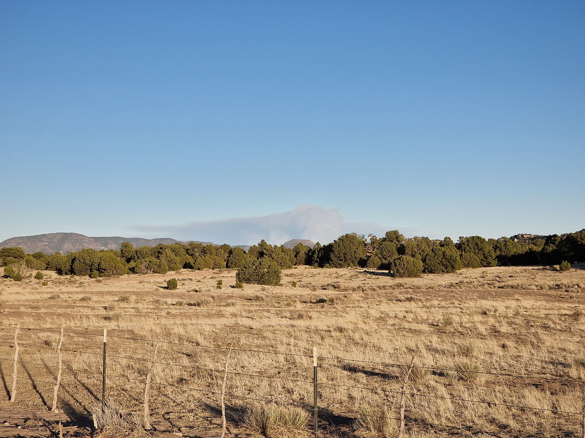 Smoke from a wildfire