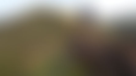 Day 3: Camp Spot - Mount Laguna