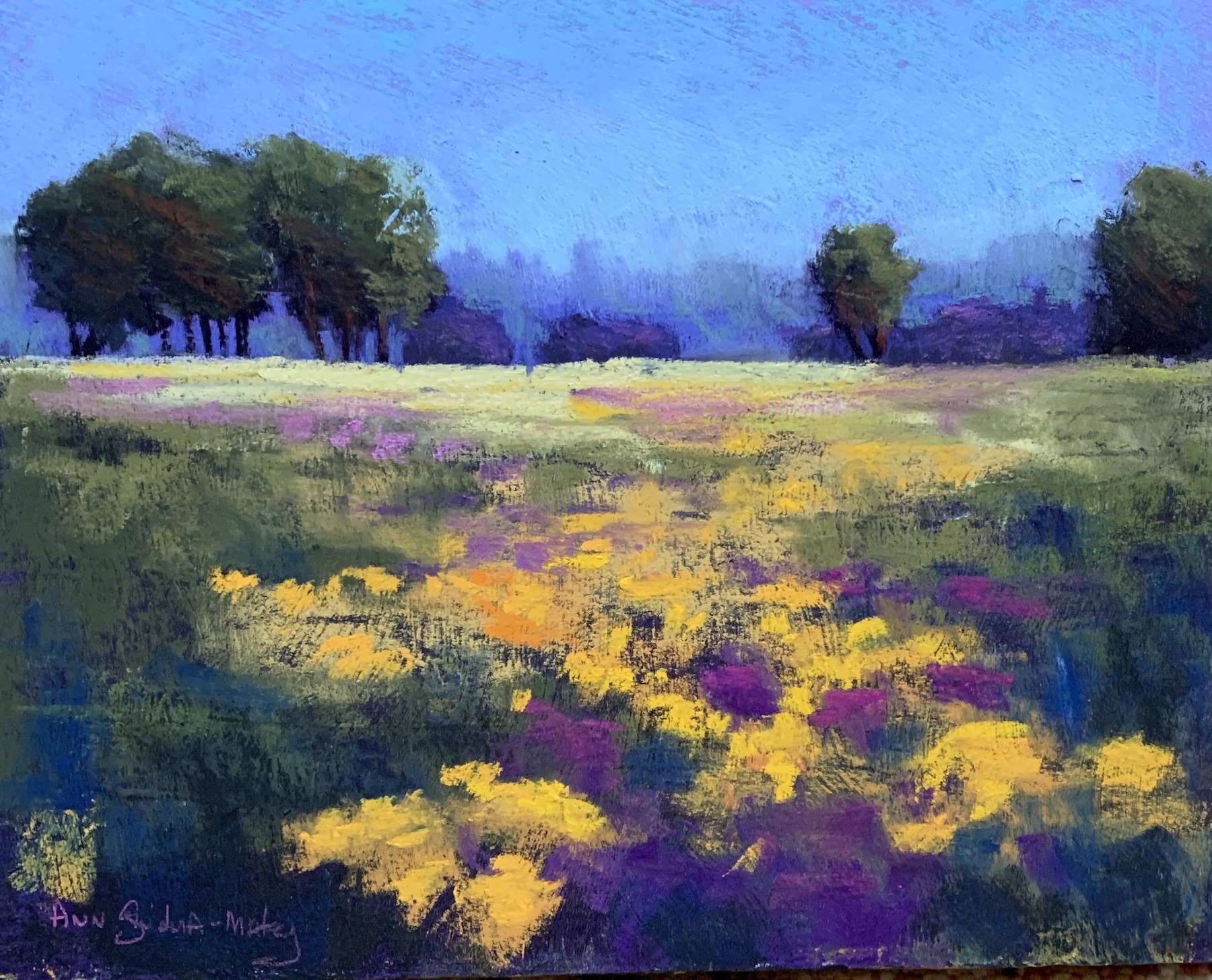 Yellow & Purple Field