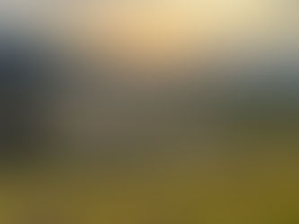 チケット制終了のご案内