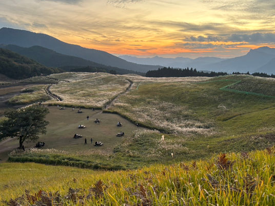 チケット制終了のご案内