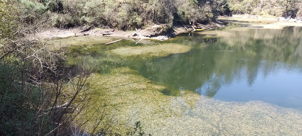 Descienden peligrosamente los niveles de las lagunas, mientras que otras ya desaparecieron. Foto: Tere Montaño