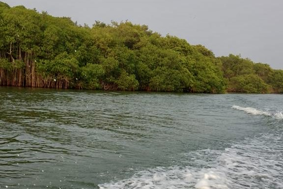 Punta Puquita pertenece al Sistema Lagunar de Alvarado; está deshabitado y tiene una extensión de 24 kilómetros cuadrados. (Colectivo Solecito)