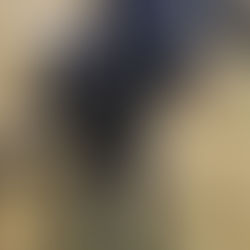 Caring for Bottle Fed Lambs: Tips for Success and Health