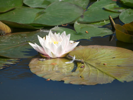 Instead of giving something up at this time of year why not try this instead ?