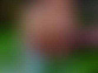 Your fear of Indigenous belief systems and why it matters