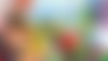 MYSIMS CLASSIC EDITION EN ESPAÑOL PC