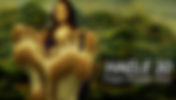 HAELE 3D FEET POSER PRO EN ESPAÑOL PC