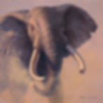 Copple-Lord of the Serengeti-CC-Final.jpg