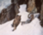 Copple-Heirs to Her Mountain Throne.jpg