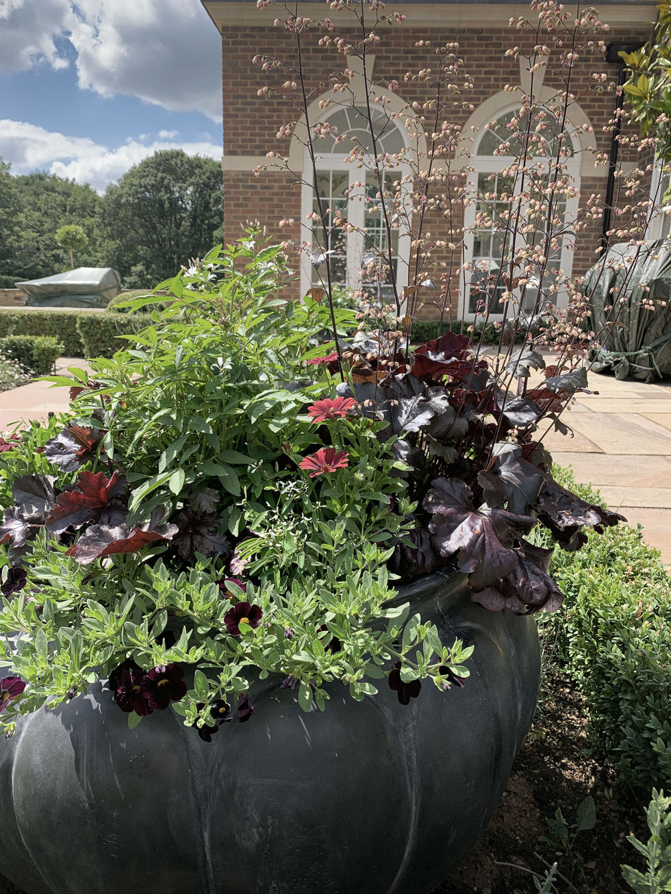 Oversized antiqued zinc planter seasonally planted