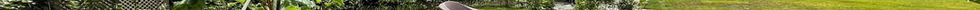 Concentric circles of beech hedging provides enclosure