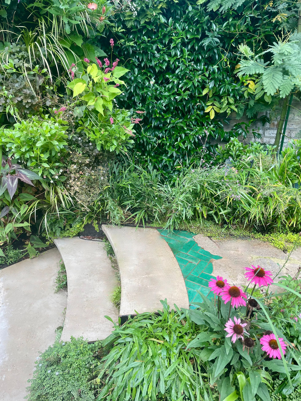 Cantelever steps, hidden lighting and underplanting