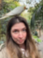 попугай на голове