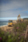 MONTEREY+TRAIL_20250828_07.jpg