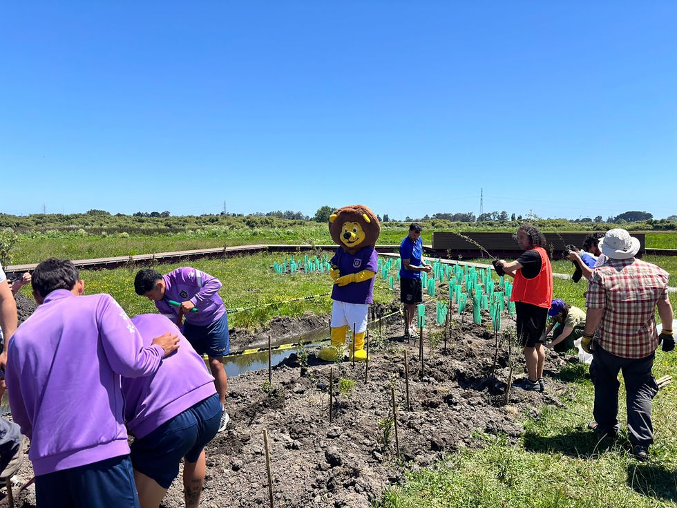 Programa de RestauraciónEcológica en el Santuario LagunaGrande - Los Batros