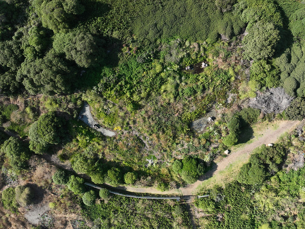 Restauración Socioecológica Santuario Humedal del Río Maipo