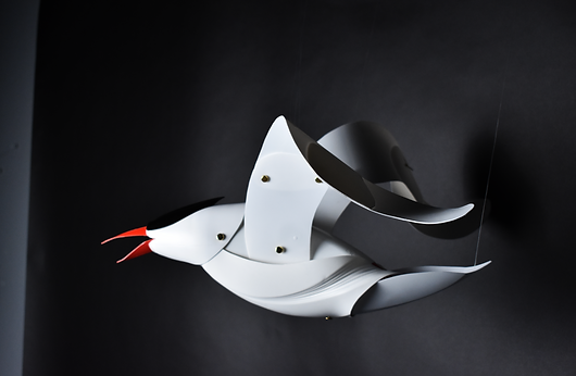maggie ma design