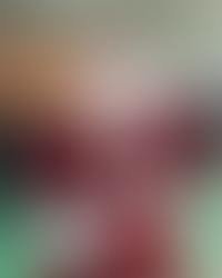 Theory 9 Holiday Joy Fest.