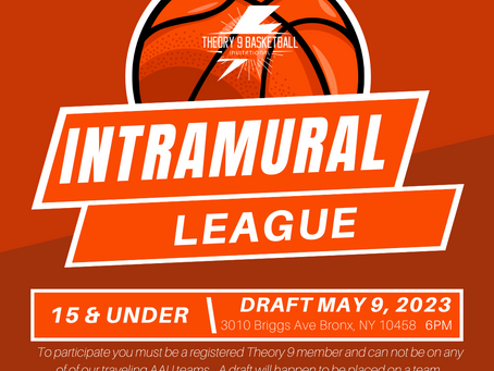 Theory 9 Intramural League