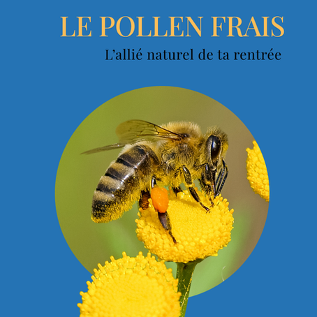 Pollen frais : l’allié naturel pour bien vivre la rentrée