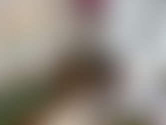 ✨ワクワクが一杯✨