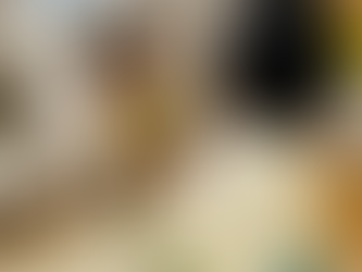 今年最後のお預かり😊