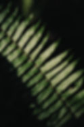 IMG_3876 2.jpg