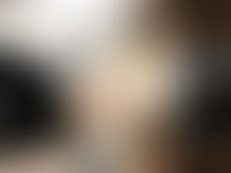 Backlinks for domain authority