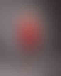 fashion photography on gray background