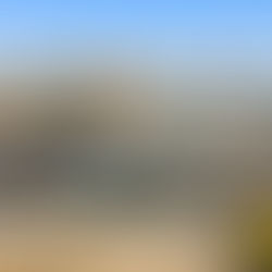 Closed: Dunkin' Anchored Strip Center