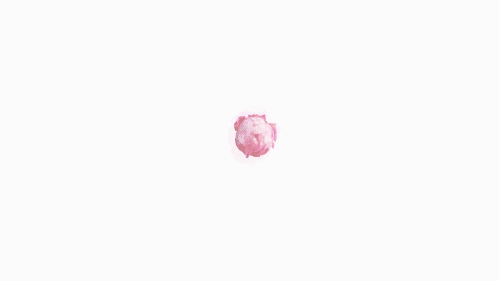 privilege of you JOMALONE2.gif