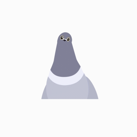 p1.gif