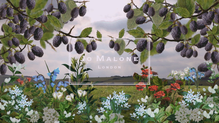 privilege of you JOMALONE1_1.gif