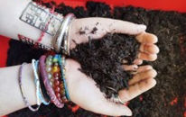 Les éco-délégués en vadrouille