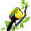 Thumbnail: Toucan