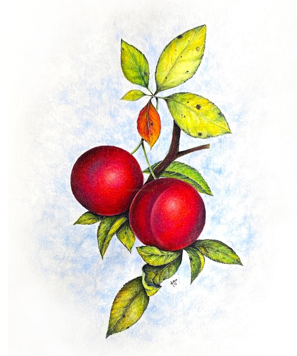 Thumbnail: Plums