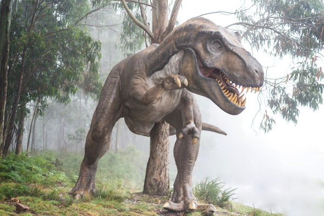 Dinosaur footprints lead to discovery of giant quarry