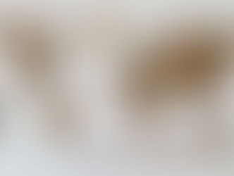 Concern as White House orders a world map, a blindfold and darts from Temu