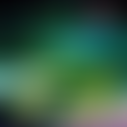 WEIRDS - "SWARMCULTURE" ALBUM REVIEW 26TH MAY 2017