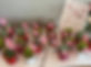 IMG_0037.jpeg
