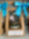 IMG_6781.jpeg